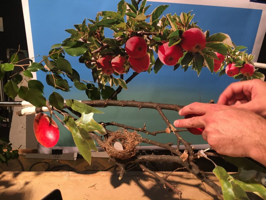 BackStage - Simbiosis - Fund-ar Humedales